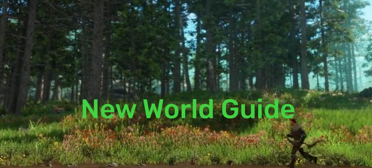 New World Guide